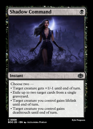 0009 Shadow Command.jpg